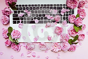 Postcard template. The laptop keyboard is strewn with pink roses, buds on a pink background. top view. Flat lay. Festive