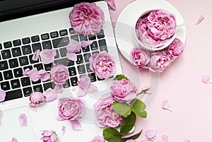 Postcard template. The laptop keyboard is strewn with pink roses, buds on a pink background. top view. Flat lay. Festive