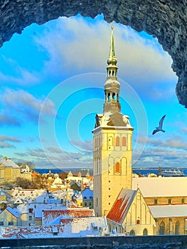 Postcard view of the Niguliste Church tower and a flying seagull