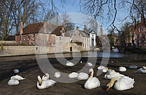 Postcards of Bruges beguinage 6