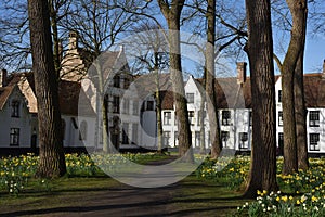 Postcards of Bruges beguinage 1