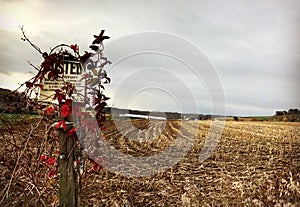 Posted private property sign in front of corn field