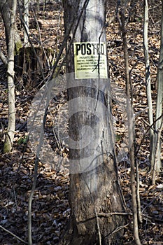 Posted sign on tree