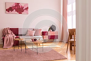 Poster above grey sofa with pillows in bright living room interior with table on pink carpet. Real photo