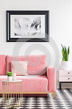 Poster above pink couch in modern living room interior with plan