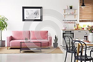 Poster above pink couch in white apartment interior with black c