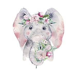 A poster with a baby elephant. Watercolor cartoon elephant tropical animal illustration. Jungle exotic summer print.