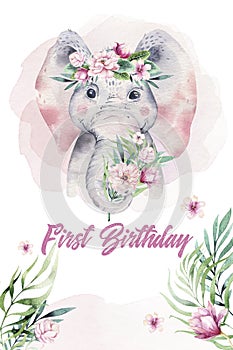 A poster with a baby elephant. Watercolor cartoon elephant tropical animal illustration. Jungle exotic summer print.