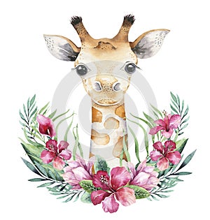 A poster with a baby giraffe. Watercolor cartoon giraffetropical animal illustration. Jungle exotic summer print.