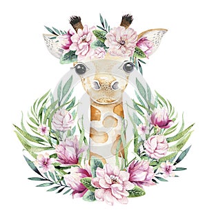 A poster with a baby giraffe. Watercolor cartoon giraffetropical animal illustration. Jungle exotic summer print. photo