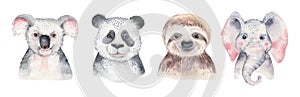 A poster with a baby panda, sloth, giraffe and koala. Watercolor cartoon elephant tropical animal illustration. Jungle