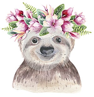 A poster with a baby sloth. Watercolor cartoon sloth tropical animal illustration. Jungle exotic summer print.