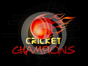 Poster or banner design for Cricket.