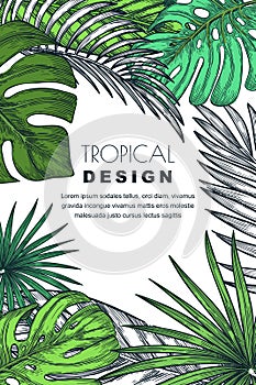 Poster, banner or greeting card frame with tropical palm leaves. Vector hand drawn sketch illustration of jungle plants.