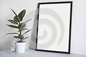 Poster in black frame in nordic stylish modern interior, ficus, living room. Empty space for design layout