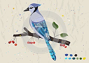 Poster with blue jay from new collection.