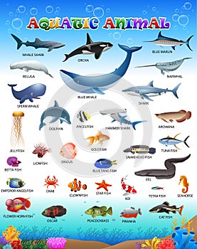 Poster of a collection of aquatic animals