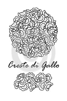 Poster design for traditional Italian pasta, Creste di Gallo in black outline and white plane on white background.