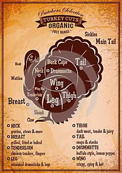 Poster with a detailed diagram of butchering turkey