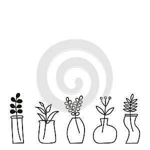 Poster with doodle wild plants, herbs, twigs, berries in vases, pots, jars.