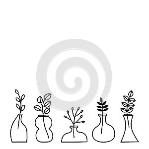 Poster with doodle wild plants, herbs, twigs, berries in vases, pots, jars.