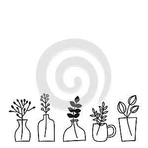 Poster with doodle wild plants, herbs, twigs, berries in vases, pots, jars.