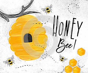 Poster honey bee photo
