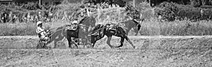 Poster with horse racing in black and white