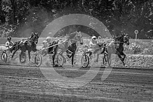 Poster with horse racing in black and white