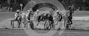 Poster with horse racing in black and white