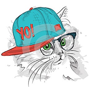 The poster with the image cat portrait in hip-hop hat. Vector illustration.