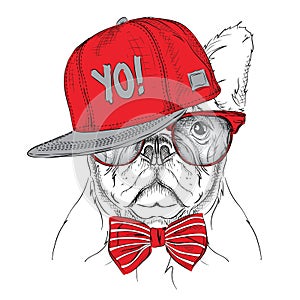 The poster with the image dog portrait in red and grey hip-hop hat. Vector illustration.