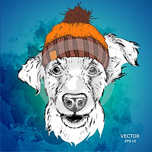 The poster with the image dog portrait in winter hat. Vector illustration.