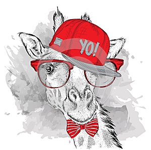 The poster with the image giraffe portrait in hip-hop hat. Vector illustration.