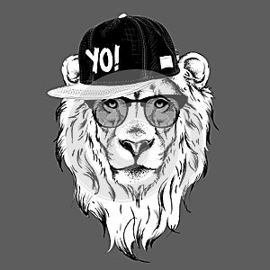 The poster with the image lion portrait in hip-hop hat. Vector illustration.