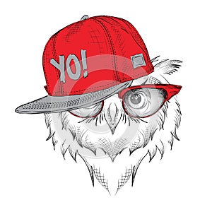 The poster with the image owl portrait in hip-hop hat. Vector illustration.