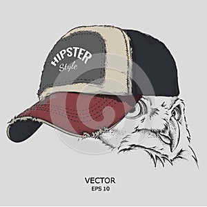 The poster with the image owl portrait in hip-hop hat. Vector illustration.