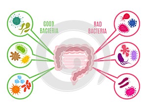 Poster of intestinal flora gut health vector concept with bacteria and probiotics icons isolated on white background