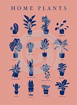 Poster linear home plants coral