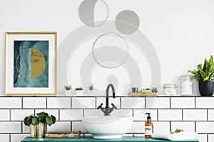 Poster next to round mirrors above washbasin and plant in white bathroom interior. Real photo