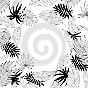 Poster with ornament, frame border, hand drawn tropical or forest leaves of black skeich on a white chalkboard background