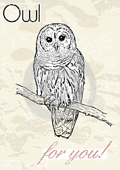 Poster with owl. Vintage style.