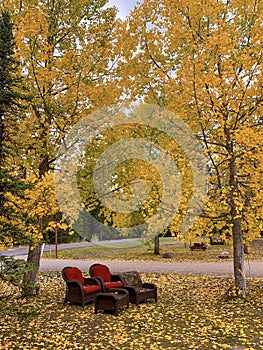 Poster perfect Beautiful Autumn colors landscape