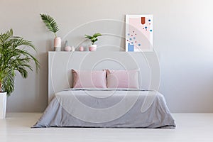 Poster and plants on bedhead of bed with pink cushions in grey b
