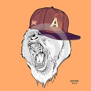 The poster with the portrait of the Ape in hip-hop cap. Leader of a pack of gorillas. Aggressive monkey. Vector illustration