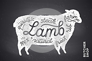 Poster with red lamb silhouette. Lettering