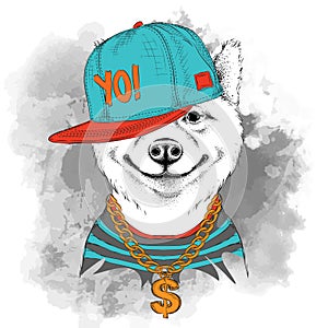 The poster of the sakita inu dog portrait in hip-hop hat. Vector illustration.