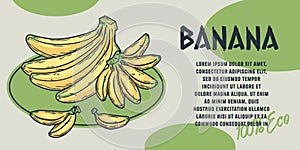 Poster with summer fruits. Banana with palms