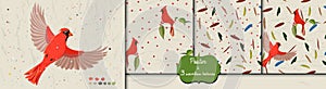 Poster and three seamless patterns from collection with blue jay and red cardinal birds.