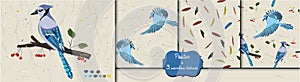 Poster and three seamless patterns from collection with blue jay and red cardinal birds.